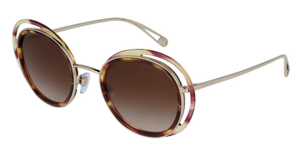 AR 6081 Sunglasses STRIPED BROWN/PALE GOLD