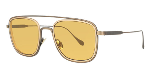 AR 6086 Sunglasses BRUSHED BRONZE/MT PALE G