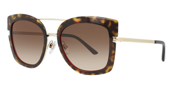 AR 6090 Sunglasses PALE GOLD/TOP HAVANA BLA