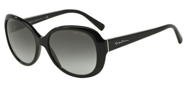 AR 8047 Sunglasses 12 Black