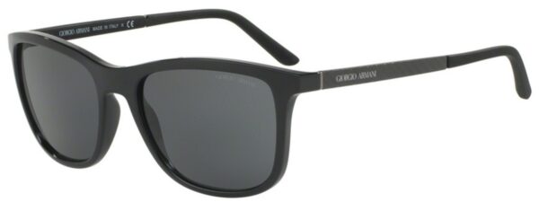 AR 8087 Sunglasses 12 Black