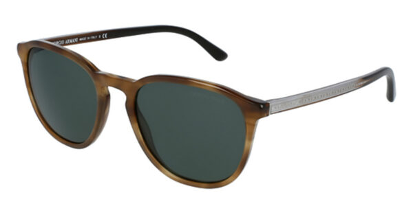 AR 8104 Sunglasses Striped Brown