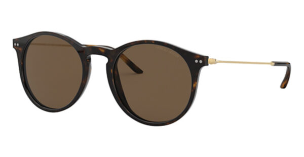 AR 8121 Sunglasses Dark Havana