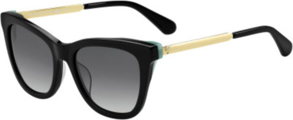 Alexane/S Sunglasses Black