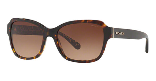 HC 8232 Sunglasses Oxblood