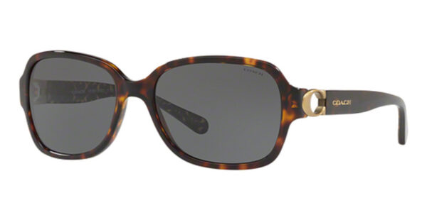 HC 8241 Sunglasses Dark Tortoise