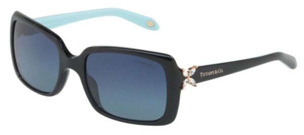 TF 4047B Sunglasses Black