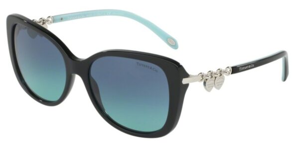 TF 4129 Sunglasses Black