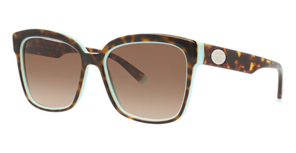 TF 4162 Sunglasses Havana/Blue