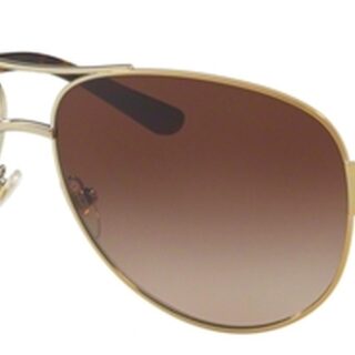 TY 6057 Sunglasses Gold