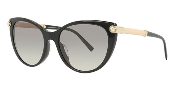 VE 4364QA Sunglasses Black